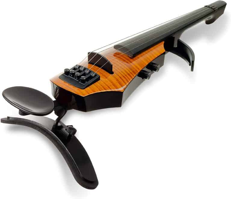 Are Electric Violins Expensive? You Will Be Surprised