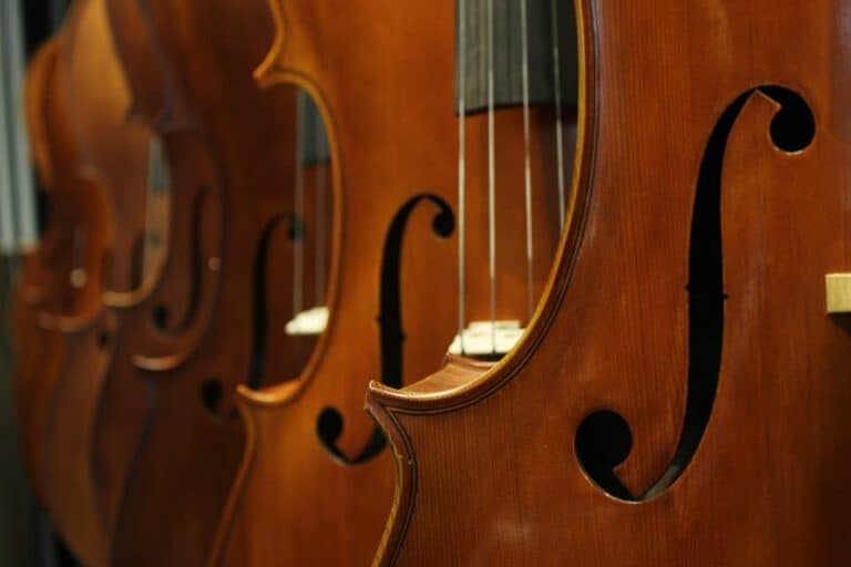 Take Maximum Care of your Violin: How and why you should