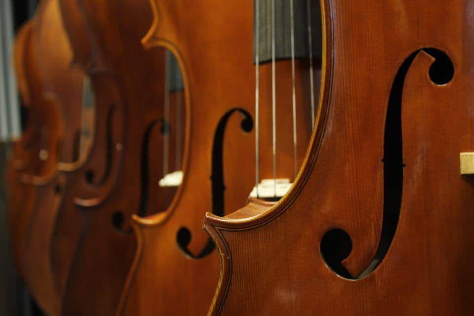 take care of my violin