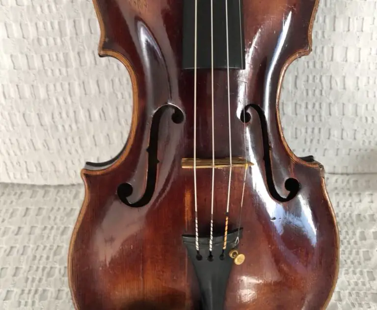 How to Clean a Violin? A step by step guide with pictures