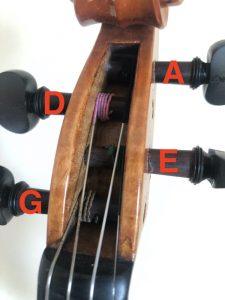 Where are Violin Strings Attached? (With Pictures) - Violin Trend