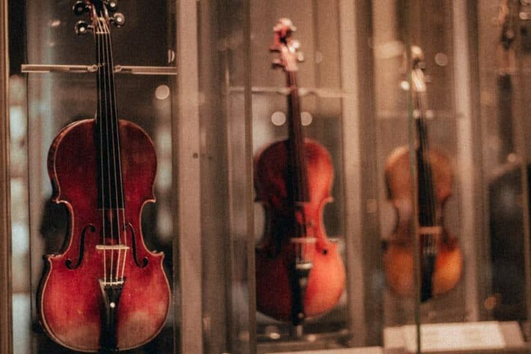 Why are Violins so Expensive? Top 7 reasons