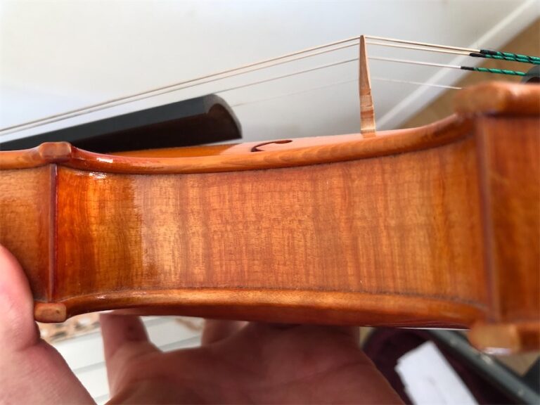 How to Take Care of my Violin and Bow: a step by step maintenance mega ...